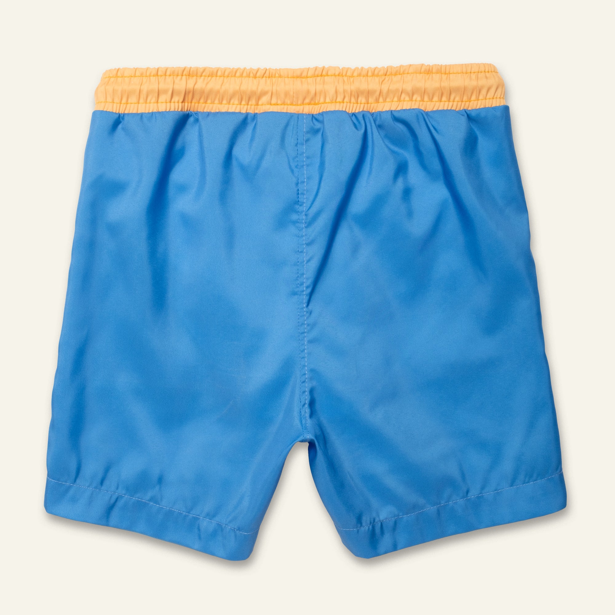 Blue Colorblock Swim Trunk - Image 6