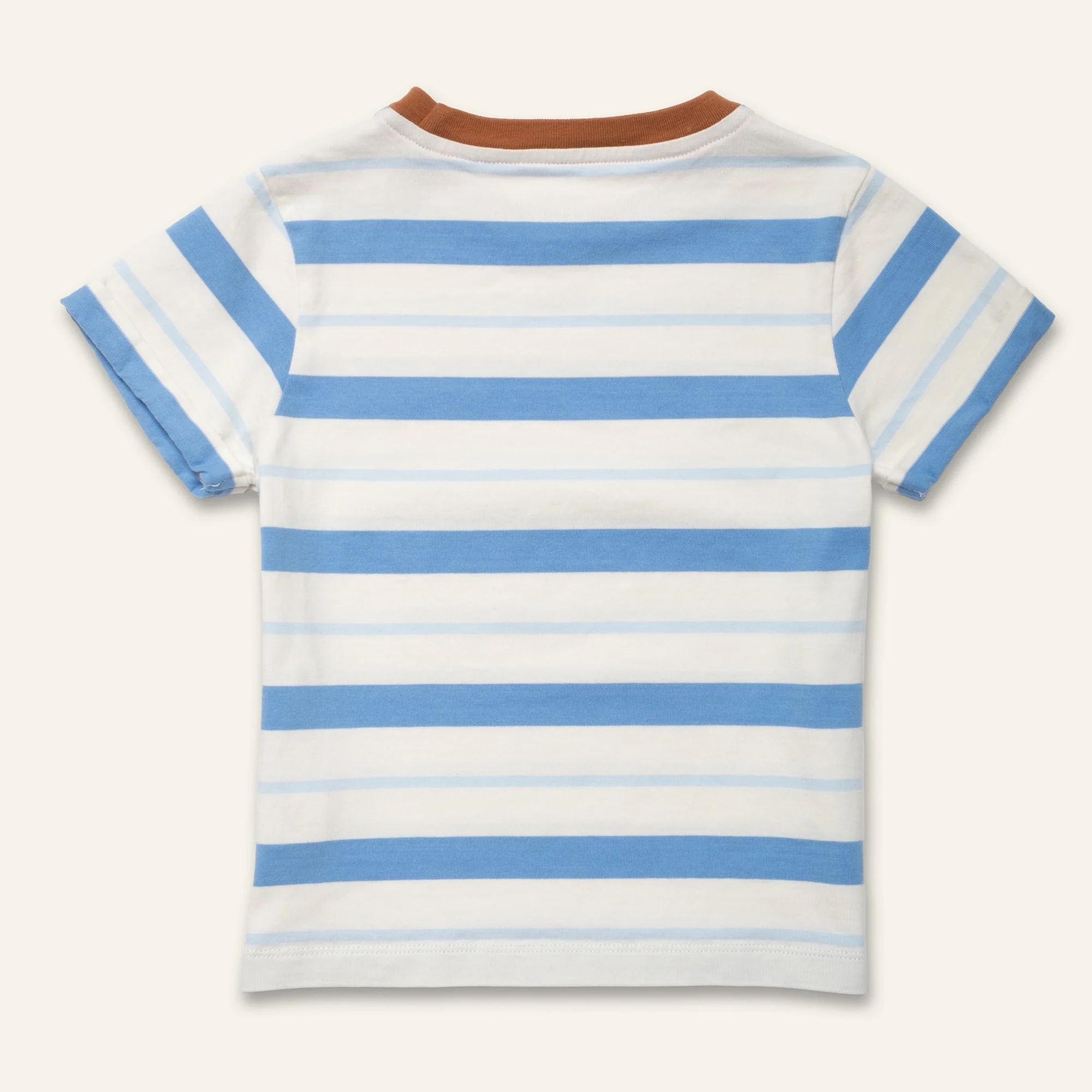 Blue Stripe T-Shirt - Image 6